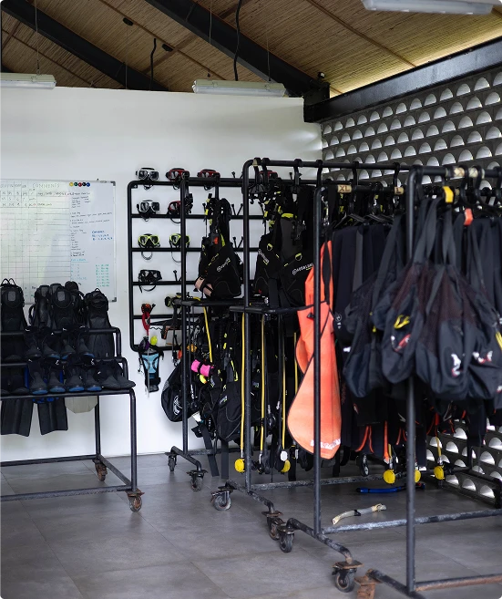 Deep roots diving gears in Nusa Penida