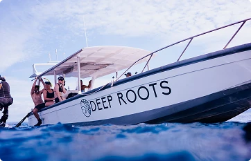 Deep roots boat in nusa penida